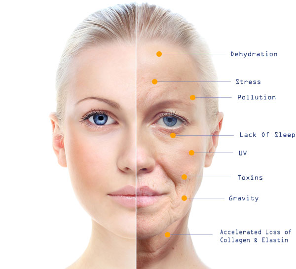 海外营养品哪个平台保真,新西兰营养品十大品牌排行榜