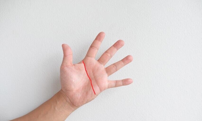 假断掌手相的相关解析