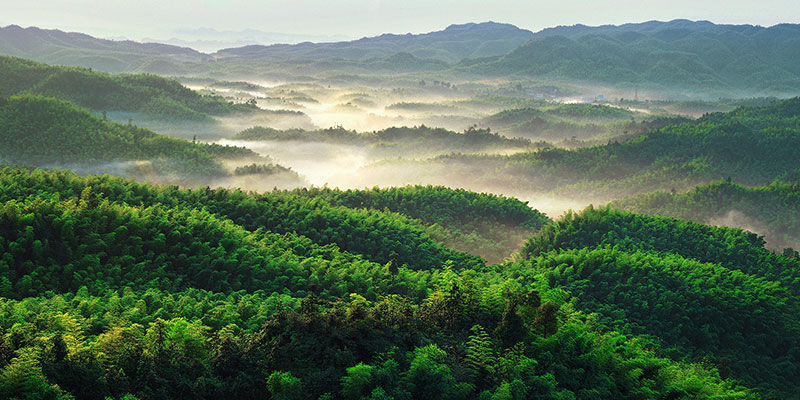 四川旅游踩坑的地方,贵州旅游踩坑
