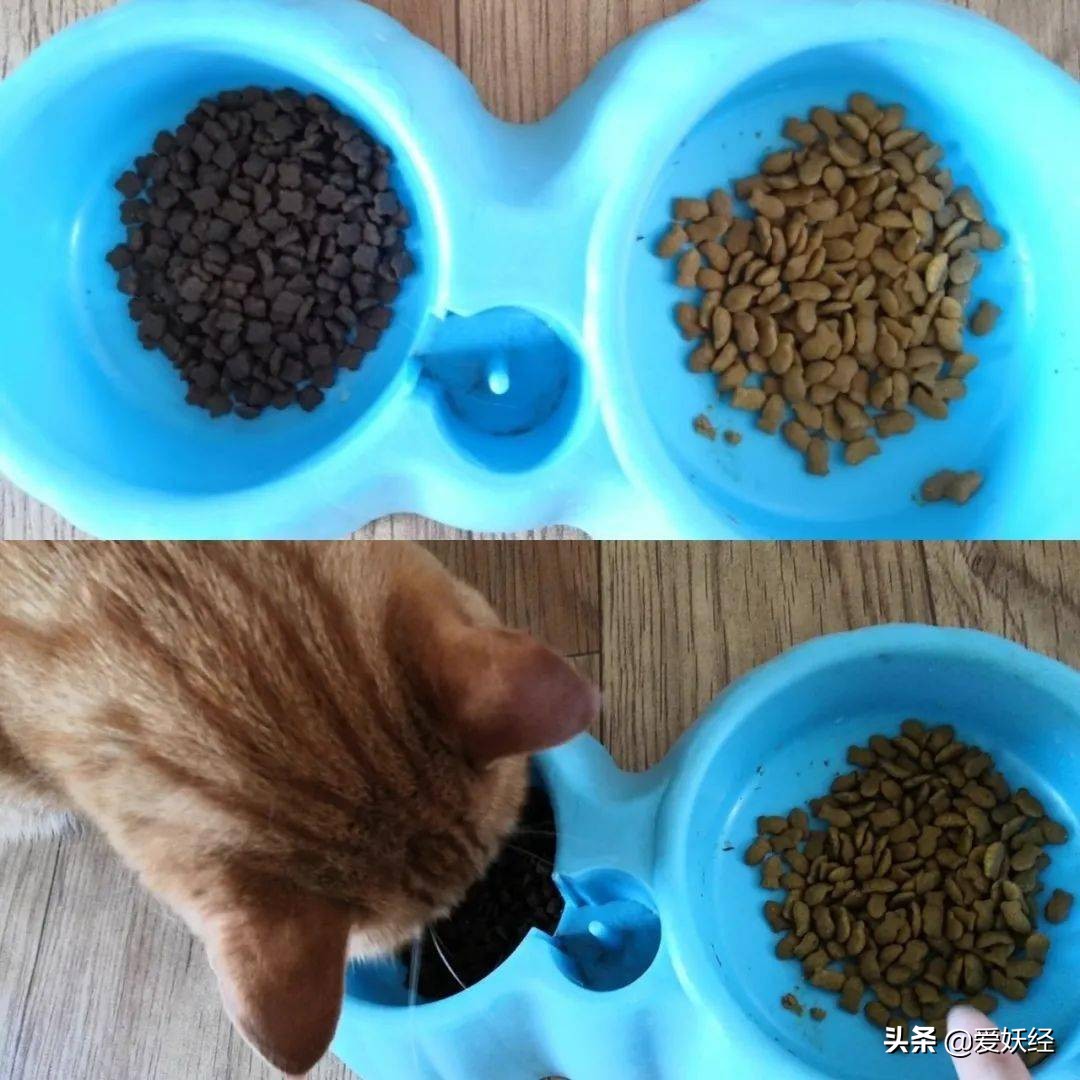 软便精有救了？干了这碗粮，养胃又护肠