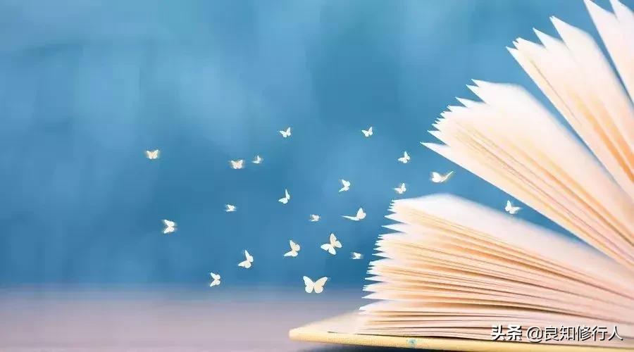 杨绛说喜欢一个人首先是言语,杨绛怎么看待女人