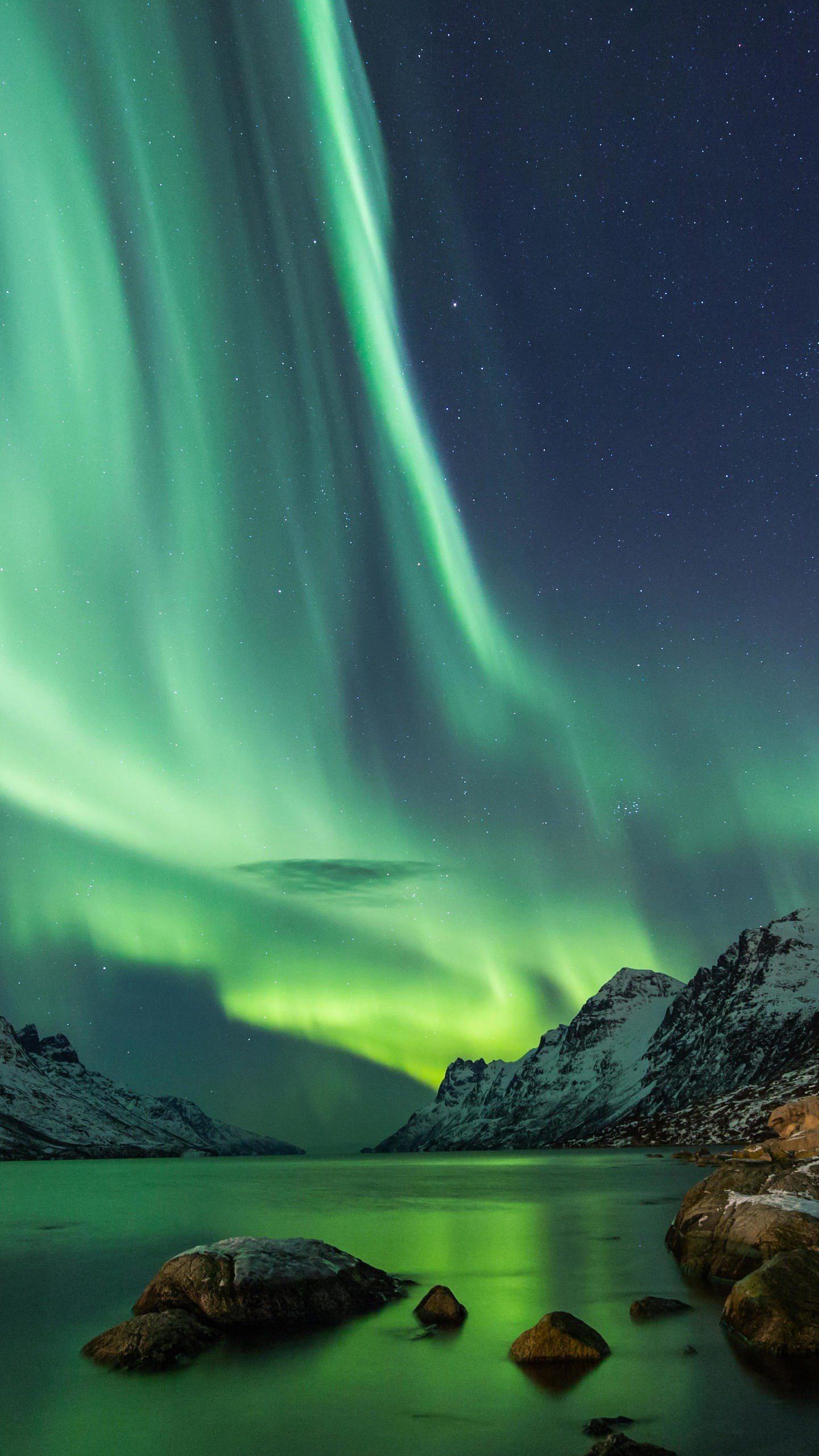 韩国saxenda减肥针官网,saxenda减肥针哪里有卖