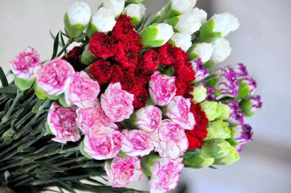 10种最好的鲜花名字,有寓意的花名英文名