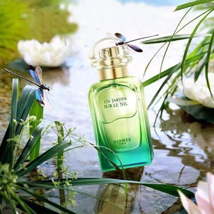 大牌香水推荐miumiu,大牌平价香水爱马仕