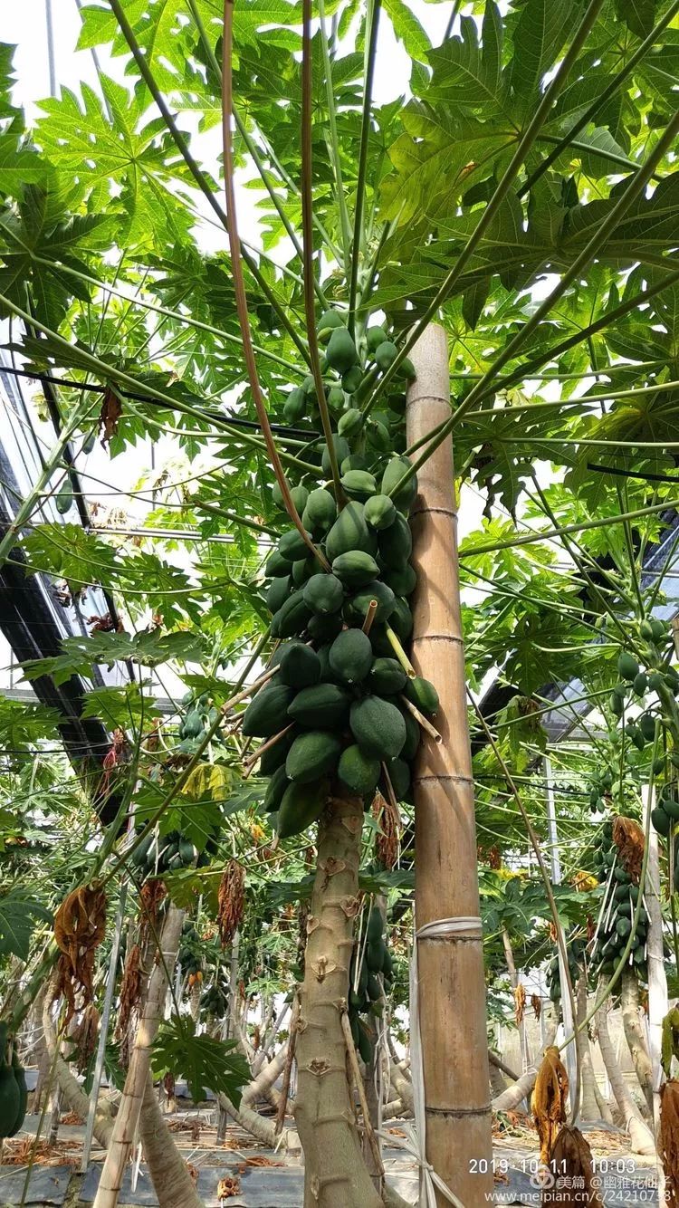 福建长汀最好玩的地方在哪里,福建长汀最好玩的地方在哪里呀