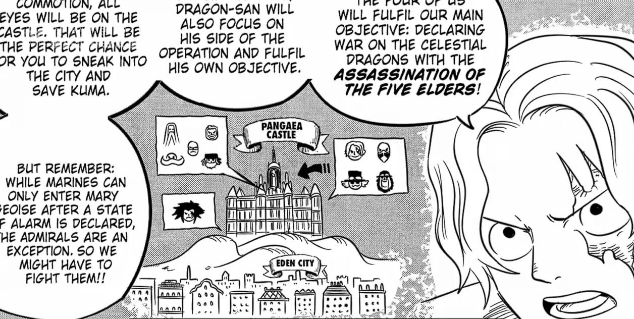 海贼王番外篇之营救暴君熊的计划