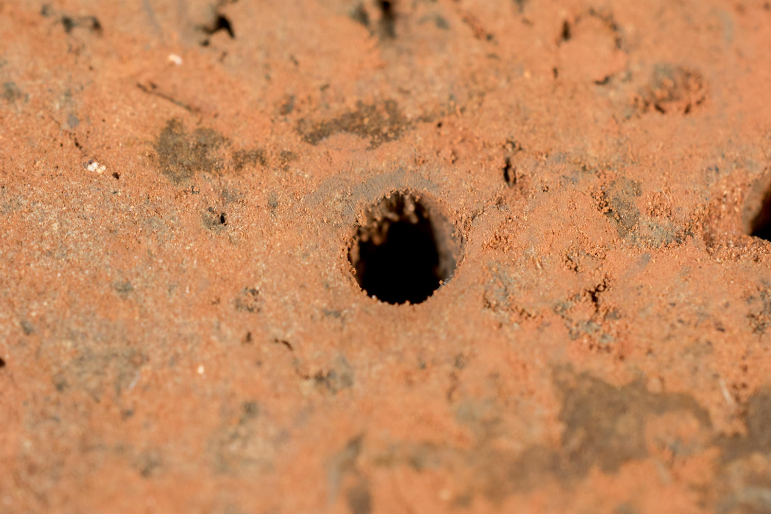 威克士锂电无刷电钻评测,威克士无刷锂电手电钻评测