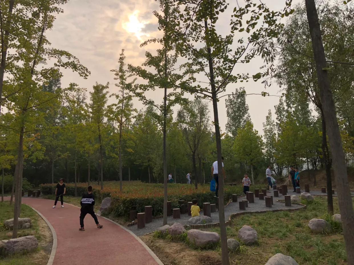 郑州免费公园树木园,郑州树木园开放