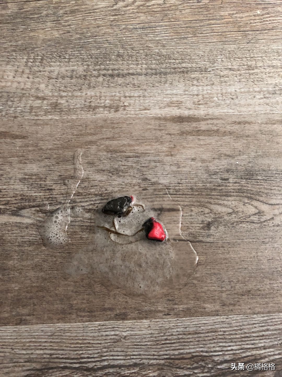 猫乱吃东西怎么让它排出来,铲屎官怎么解决猫毛问题