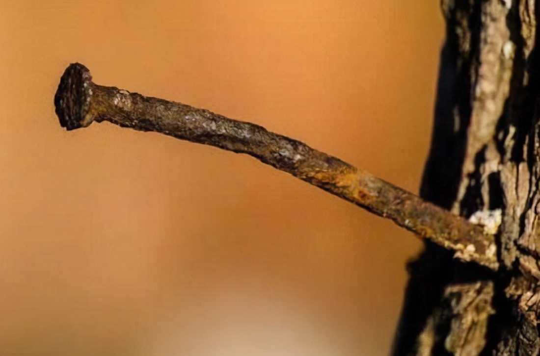 脸部受伤需要打破伤风针吗,狗自己受伤用打破伤风针吗