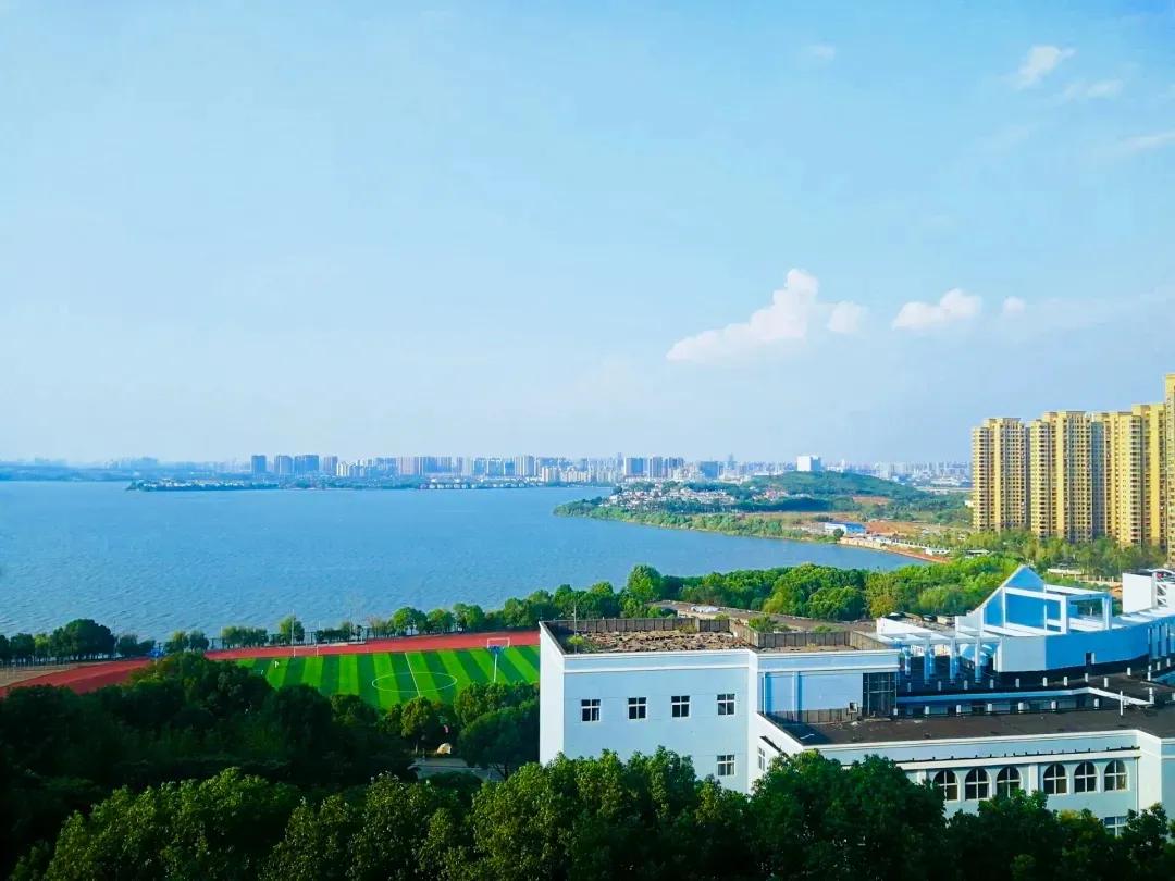 爸妈,我在学校挺好的!武昌理工学院大一新生的“回信”