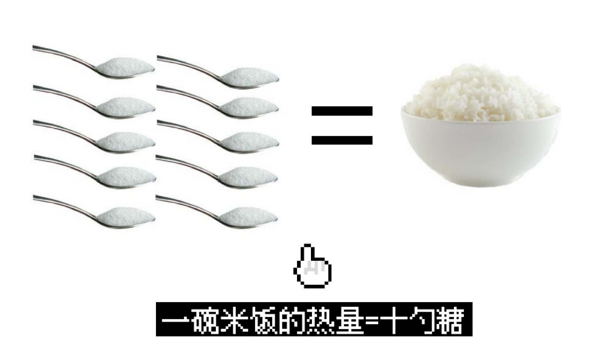 十大建议买的电饭锅推荐,推荐几款实用电饭锅