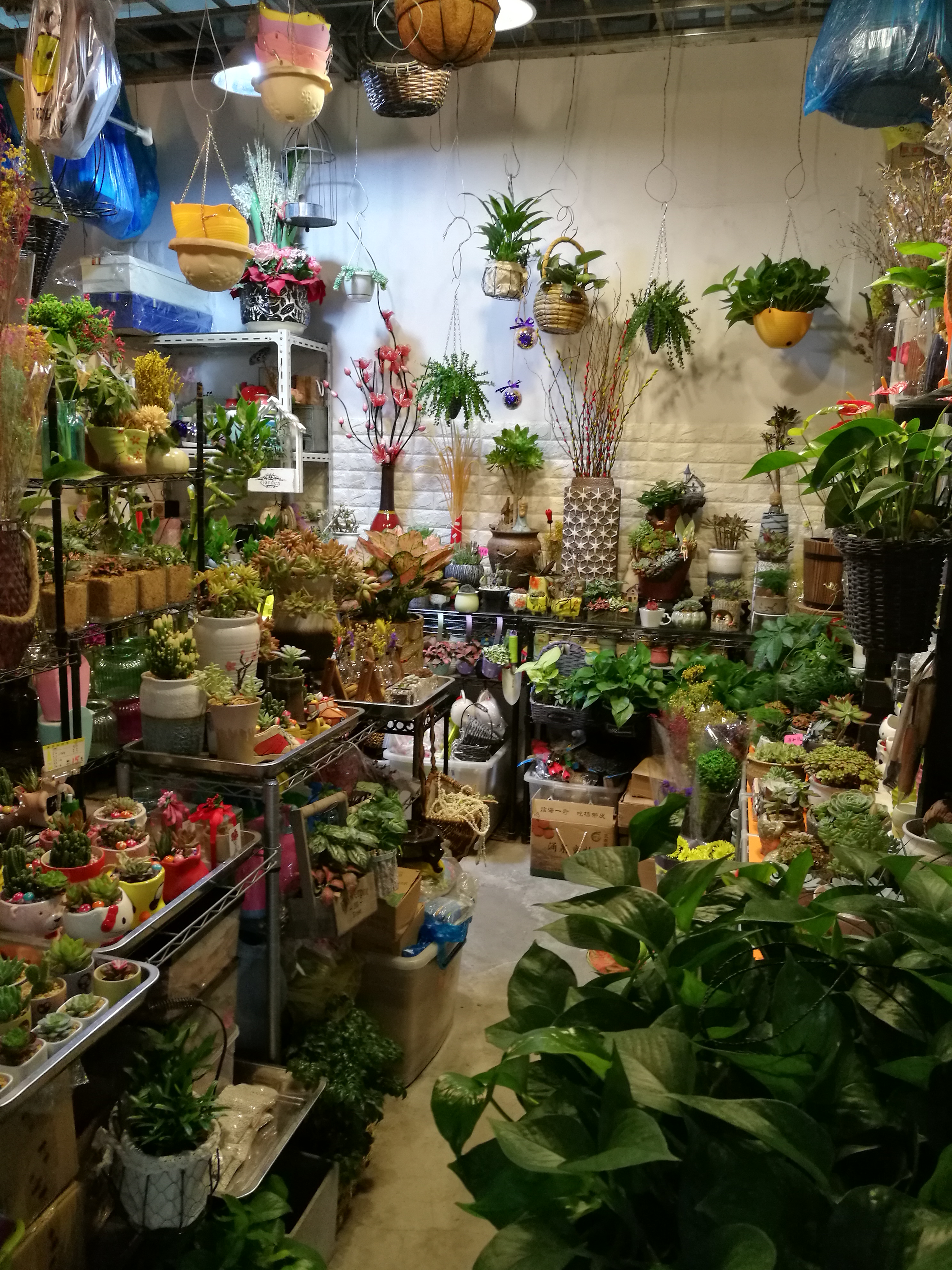小县城开一家花店的真实感受,想在自己家开花店新手怎么入行