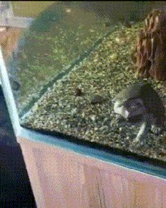 “你太低估了我的脚气，不知道还有没有救？”年轻总要付出代价