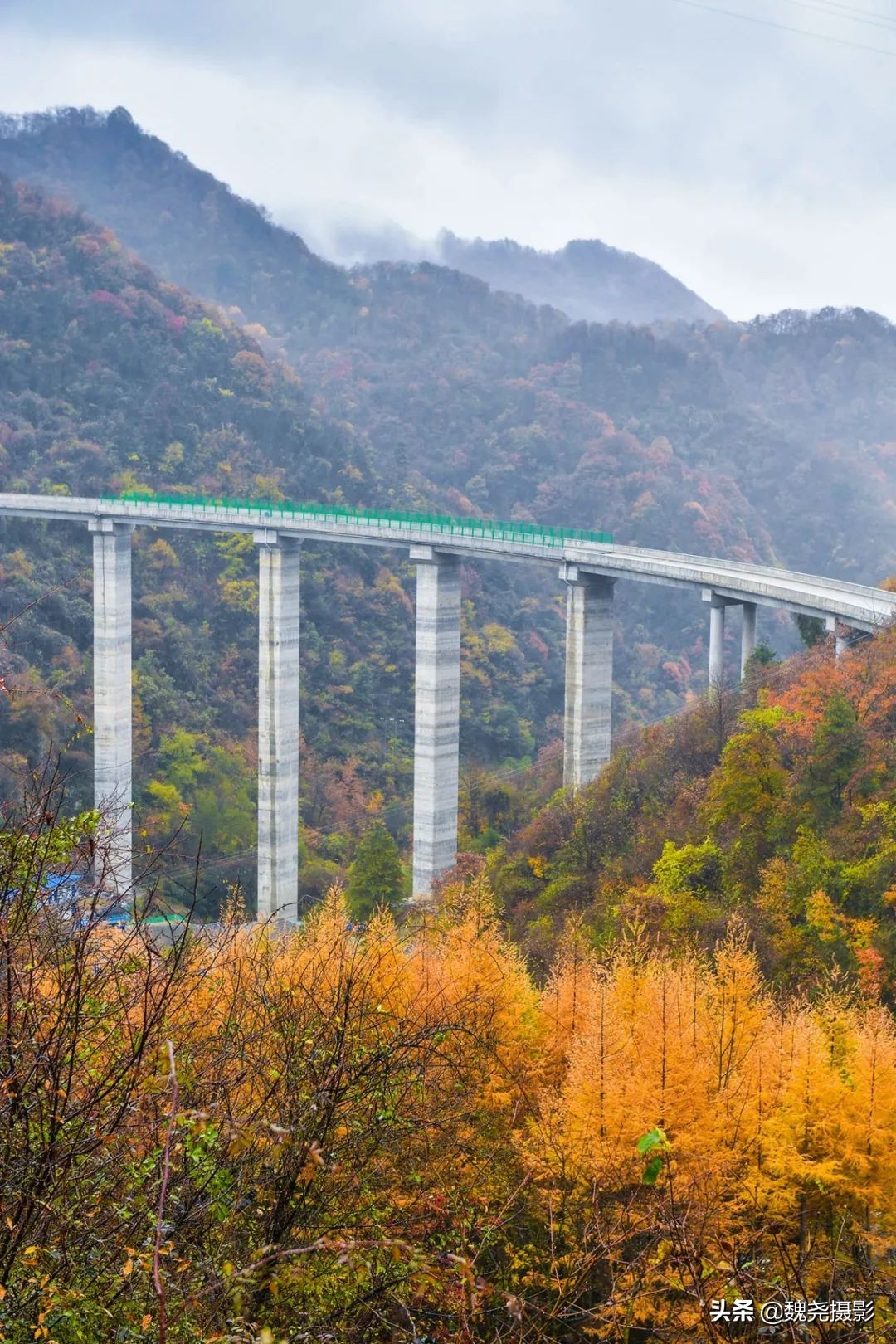 留坝秦岭之夜,留坝秦岭森林公园