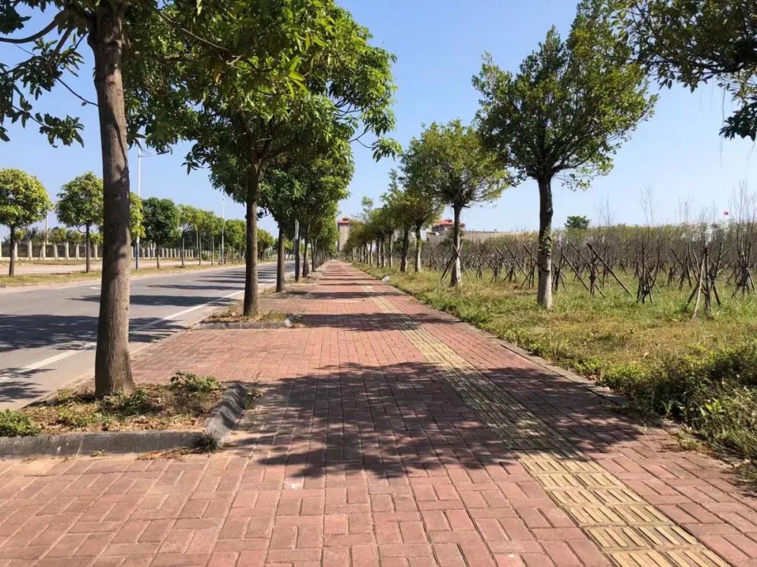 广西钦州特色美食有哪些,钦州有哪些好吃的美食