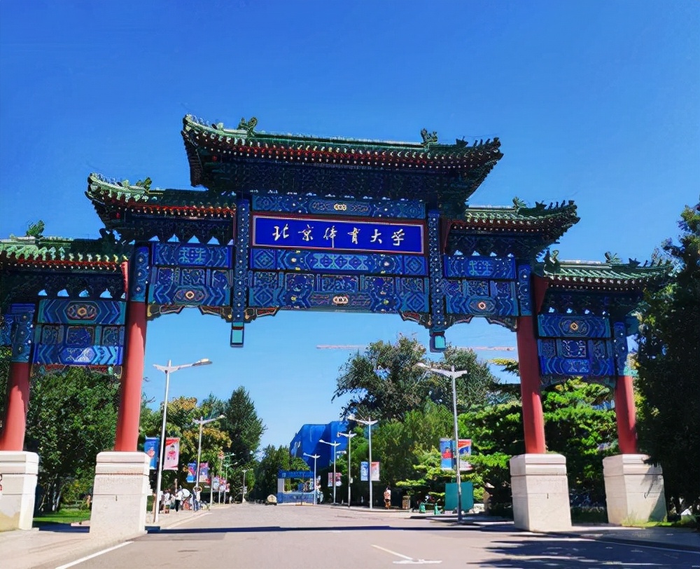 体育单招专业就业方向,艺考咨询李老师