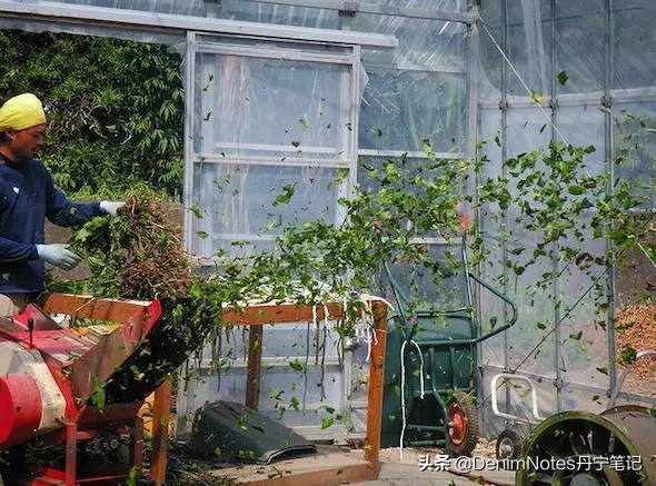 牛仔裤褪色了可以重新染色吗,牛仔裤褪色一般是什么颜色