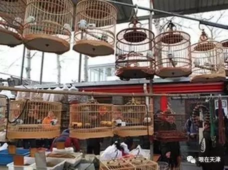 天津哏儿都的好去处,天津哏儿都