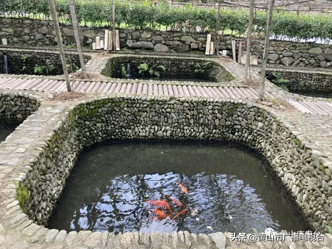 今日休宁 (休宁今天视频)