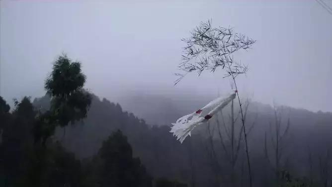 这个男人4年只花1500块陪父母，却看哭千万中国人，巩俐为他点赞