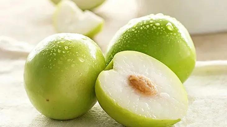 台湾牛奶枣最新品种,台湾特大牛奶枣