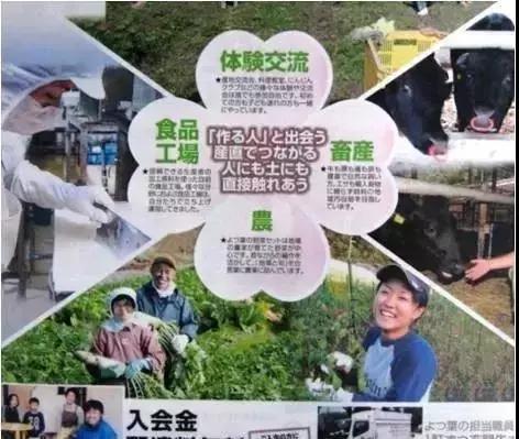 3.15打假日维持多久,3.15打假日科普