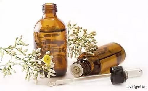 茶叶树和山茶油树的区别是什么,山茶花和茶油树区别图片大全