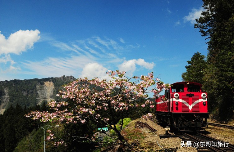 去台湾为什么要走三亚,去台湾看阿里山
