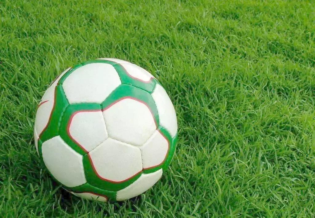 福田花卉世界最新规划,福田花卉世界新址