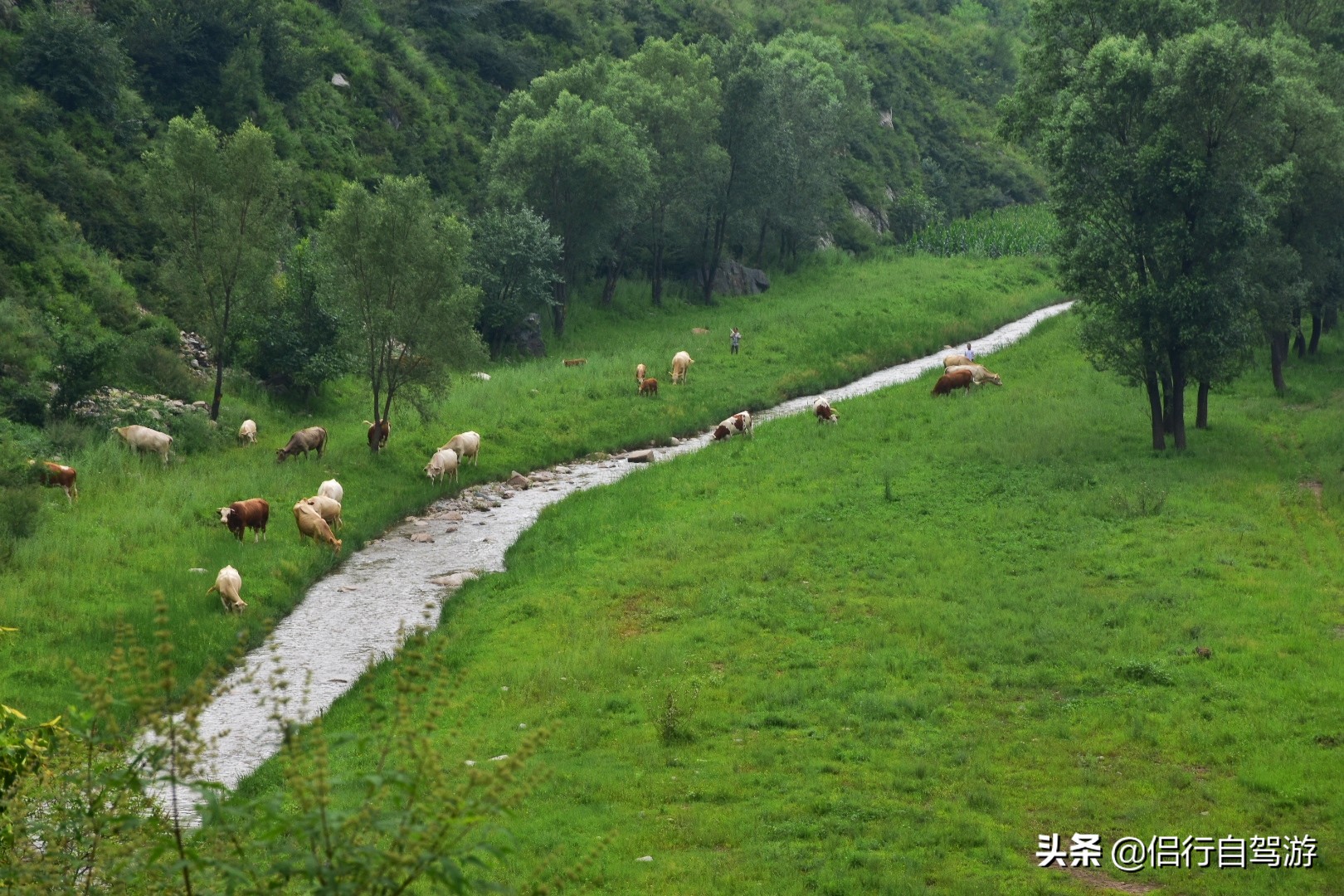 灵丘唐河大峡谷旅游攻略,山西灵丘旅游攻略路线