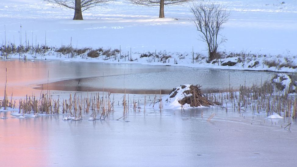 康涅狄格大学和普渡大学,康涅狄格大学相当于中国哪个大学