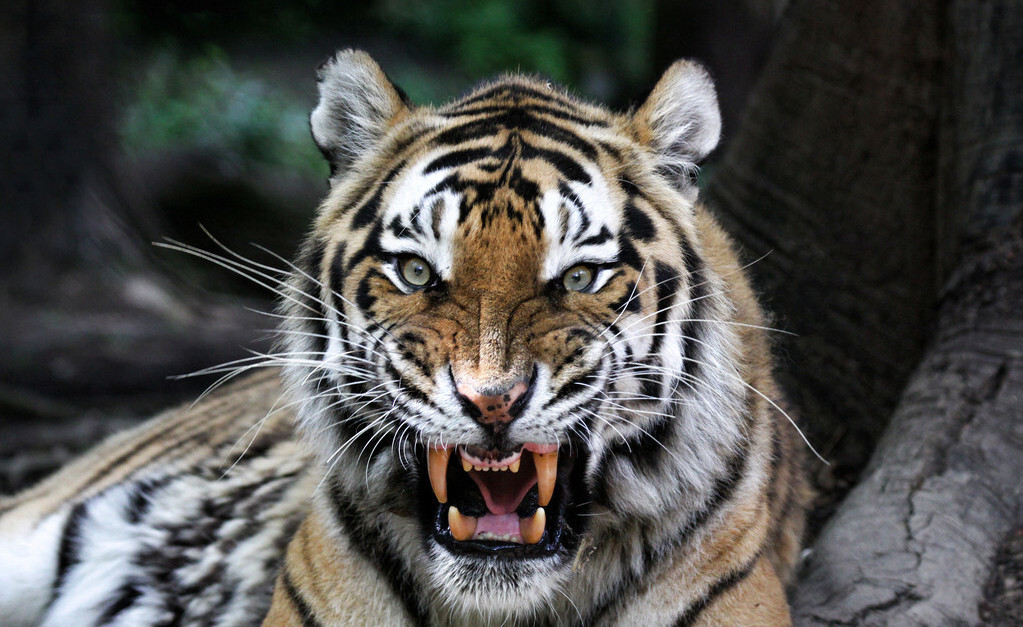 遇到不尊重自己的人怎么处理,人际交往中别人不尊重你怎么办