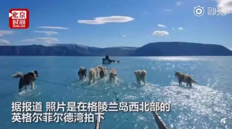 1116只鲨鱼被塑料缠住，不及余文乐发布一则视频引发的“痛感”