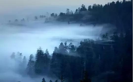 人生的至高境界是什么,人生至高境界佛为心道为骨