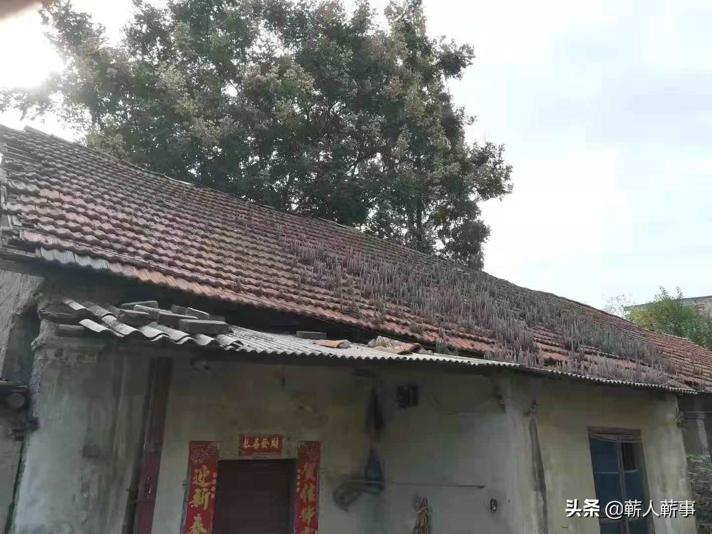 教堂被拆了的视频,天主堂十字架废弃