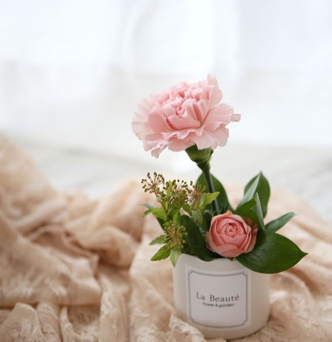 康乃馨插花教程母亲节花篮,母亲节一朵玫瑰四朵康乃馨插花