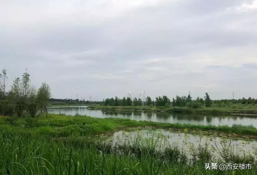 7天蓄客开盘，首开将磬，其热销背后有何价值标签？