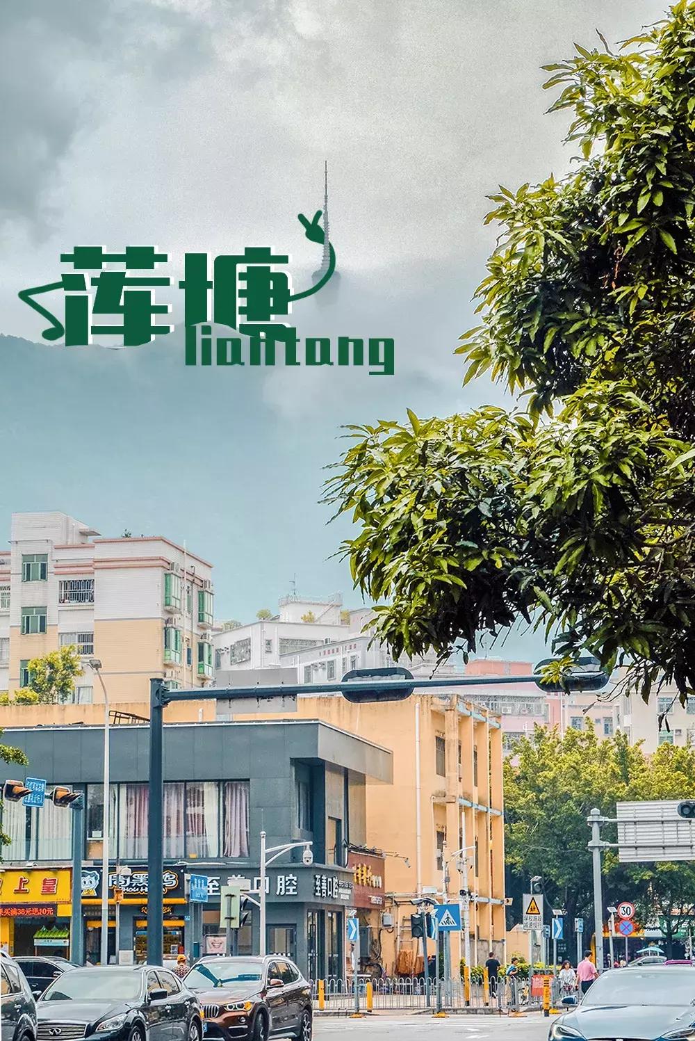 附近莲塘,附近的莲塘