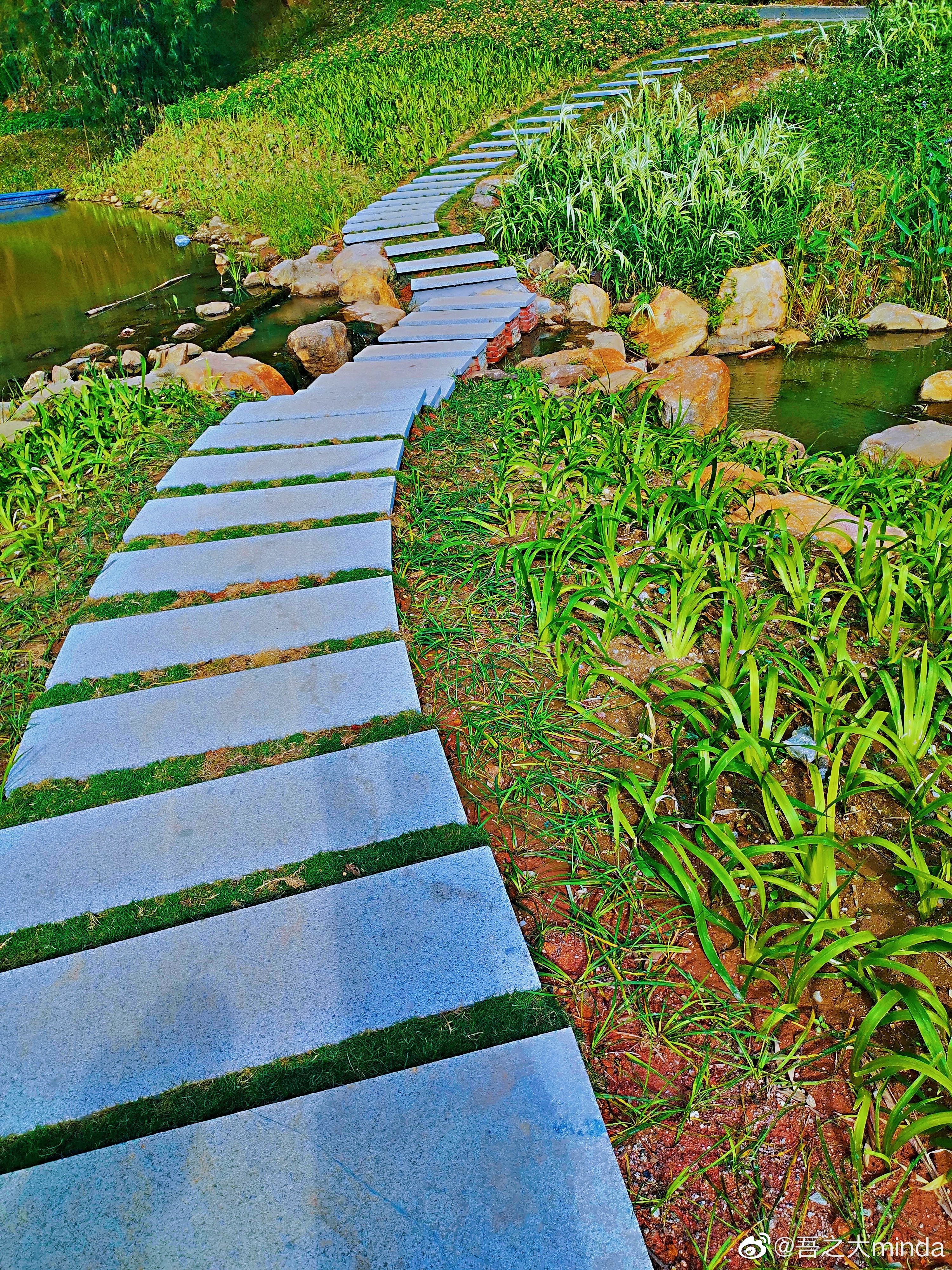 梧桐山下幽径,梧桐山下清风明月