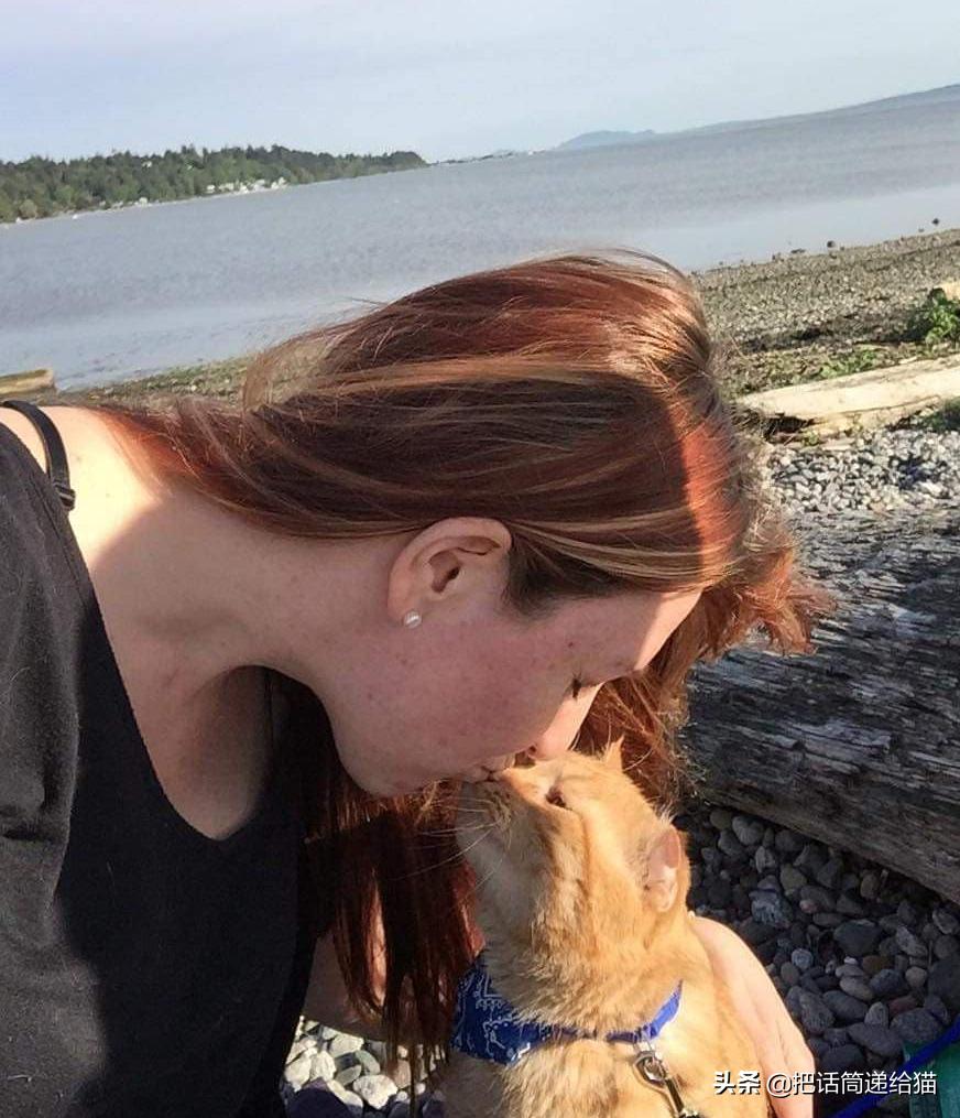 被弃养了一次的猫,从病魔中救回的猫脱离安乐死