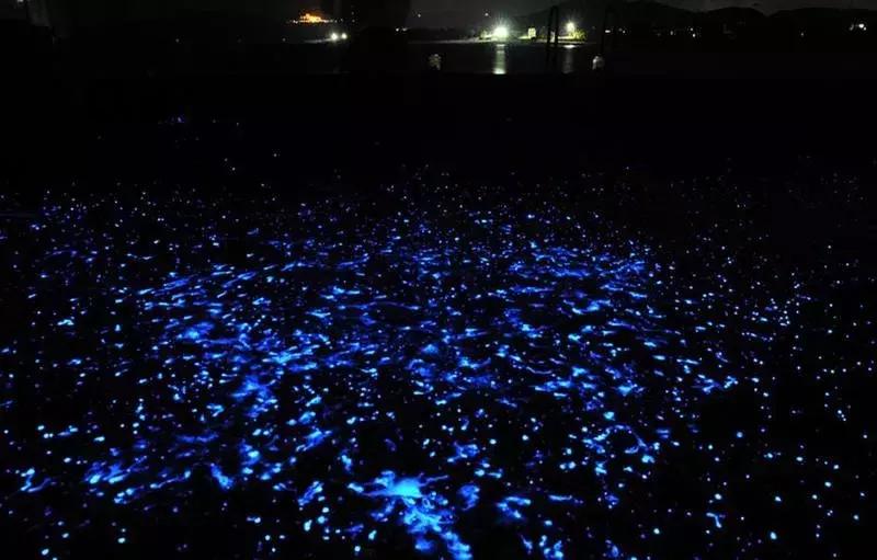 盘点那些年我看过的日本美景,日本美景8k超高清