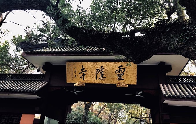 有始有终方能圆满2018年的告别行走