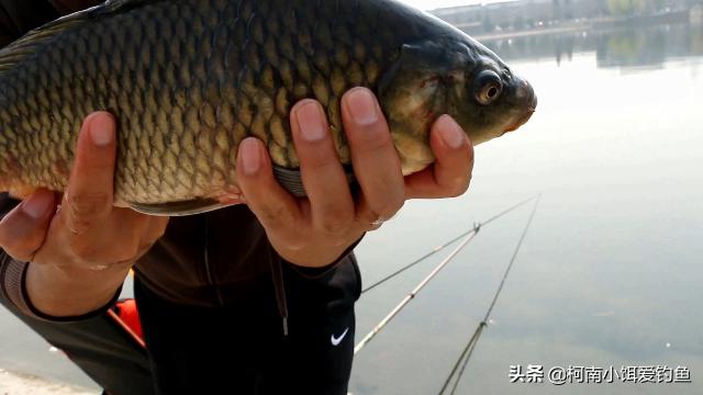 送给钓鱼人的建议：分享六个小妙招解决烦人的小杂鱼