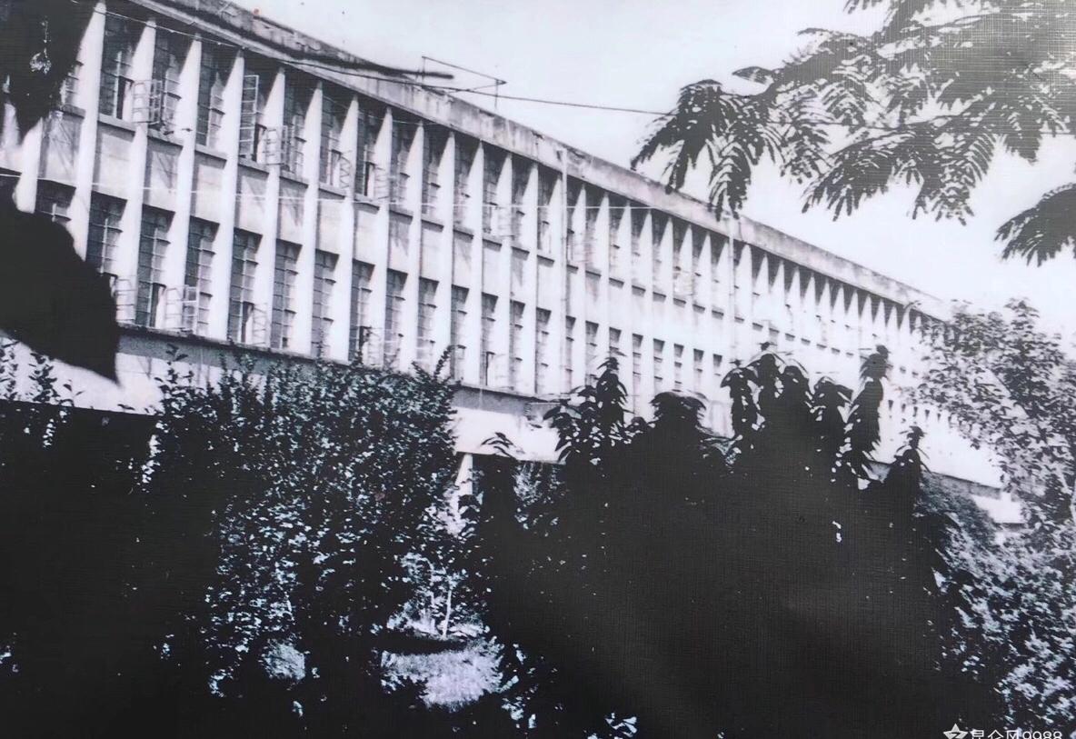 西北第一枪贺丰小说,西北第一枪厂介绍