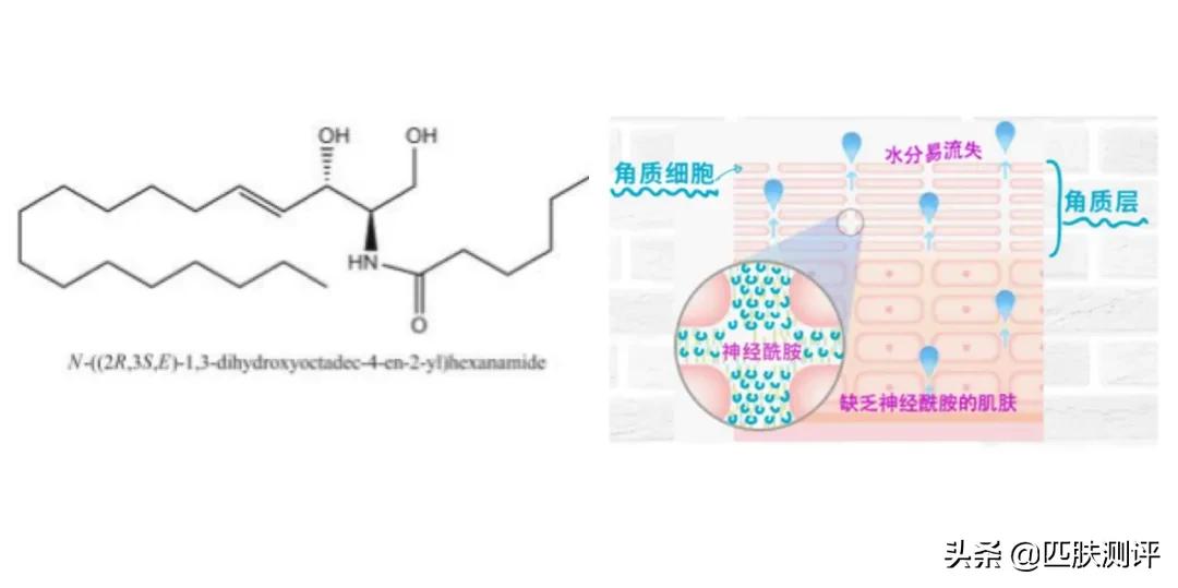 一看就会的平价护肤搭配,护肤界的网红搭配