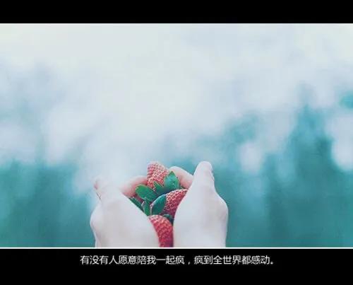 看各科老师所写的情书,盘点各科老师写给爱人的情书