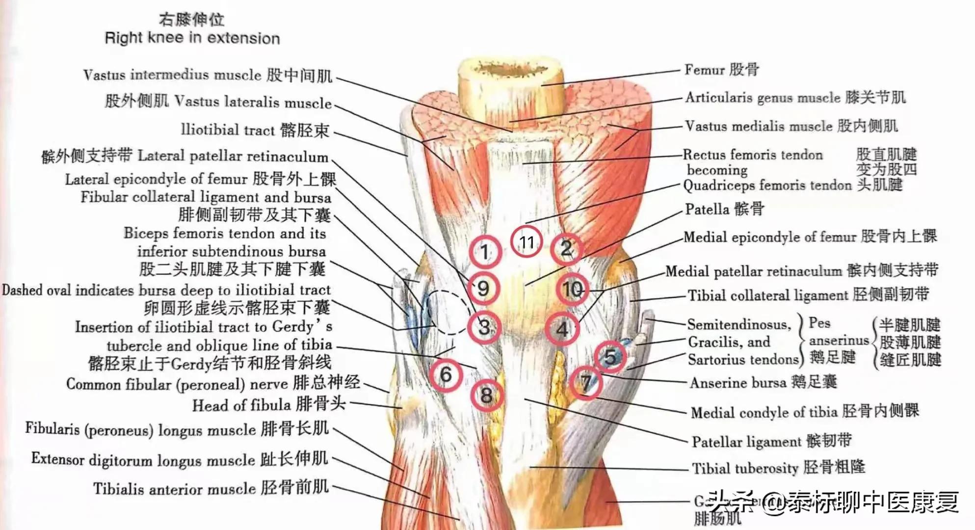 社区康复，针刀之喜与忧