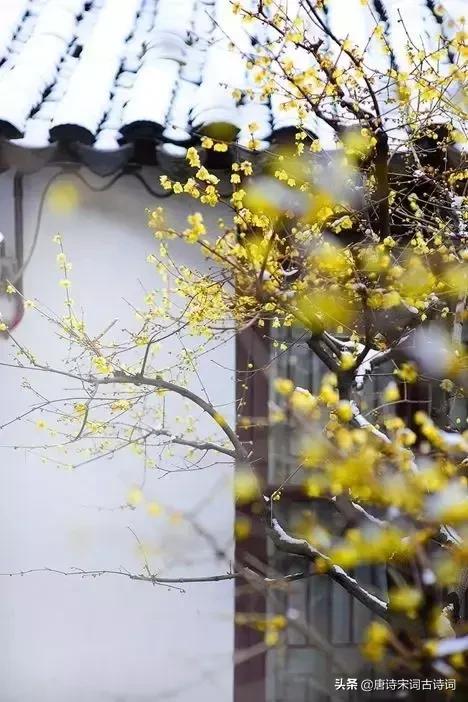 古诗词拨动了我的心弦,拨动我心弦古诗词