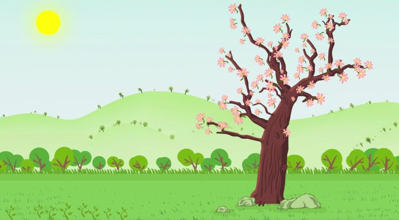 凤和风的区别是什么,凤和风是一个意思吗